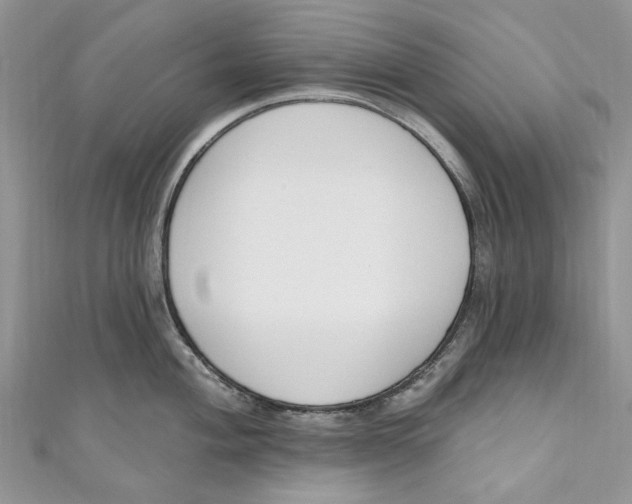 X0000110901004200907091411