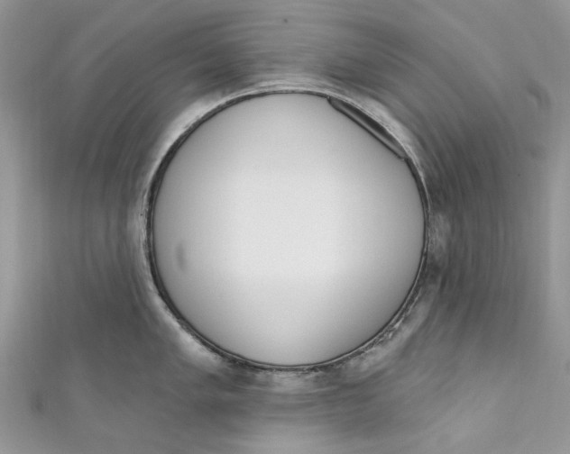 X0000110901005200907091411