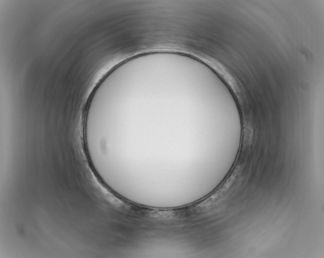 X0000110901006200907091411