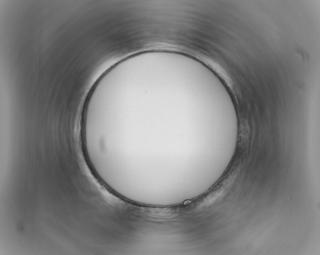 X0000110901007200907091411