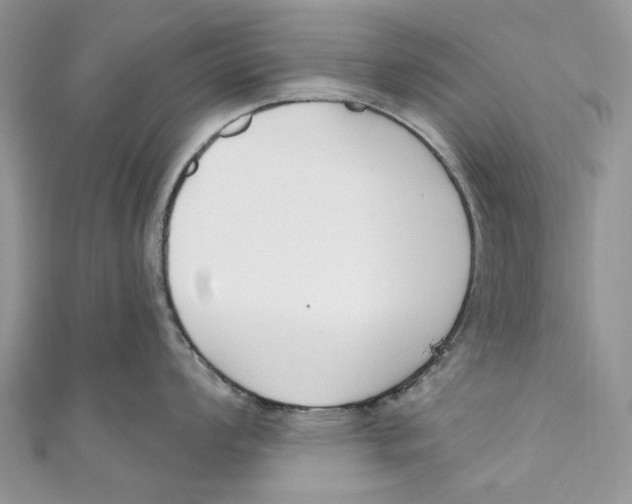 X0000110901008200907091411