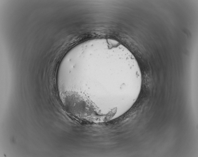 X0000110901009200907091411