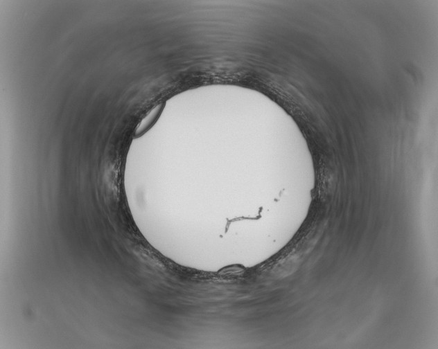 X0000110901010200907091411