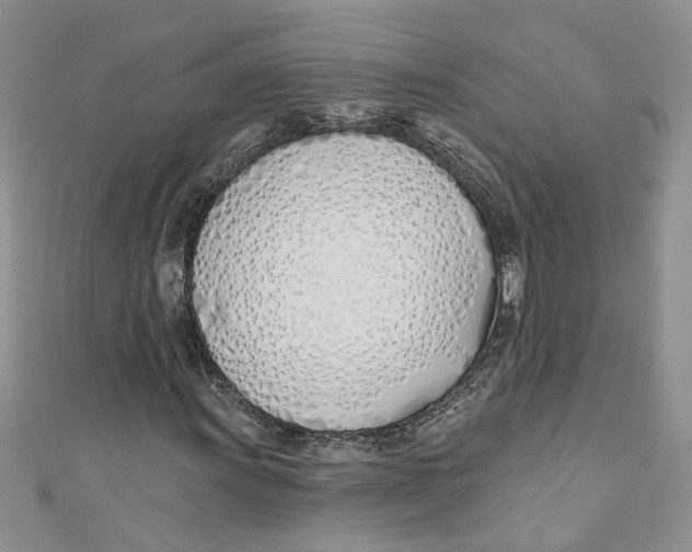 X0000110901011200907091411