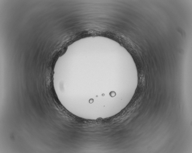 X0000110901012200907091411