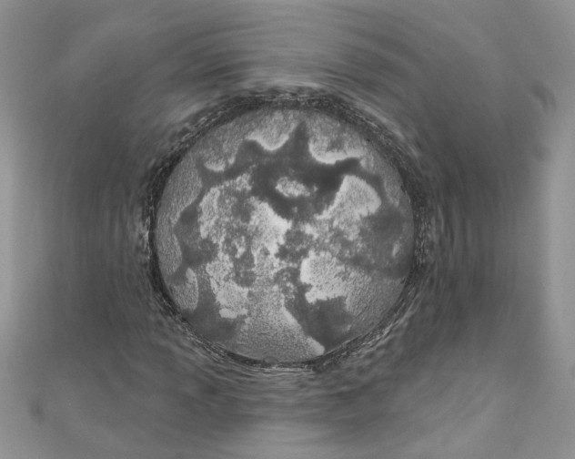 X0000110901013200907091411