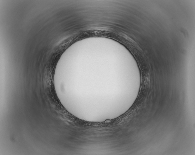 X0000110901014200907091411