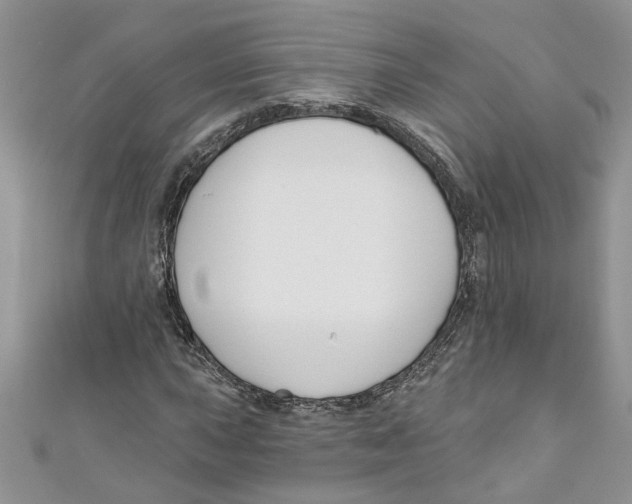 X0000110901015200907091411