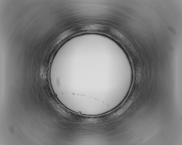 X0000110901017200907091411