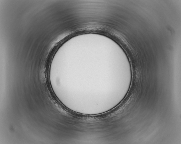 X0000110901018200907091411