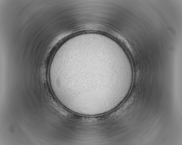 X0000110901019200907091411