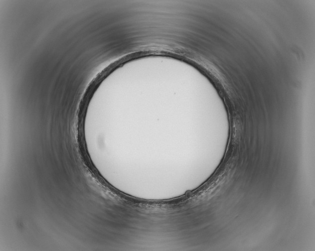 X0000110901020200907091411