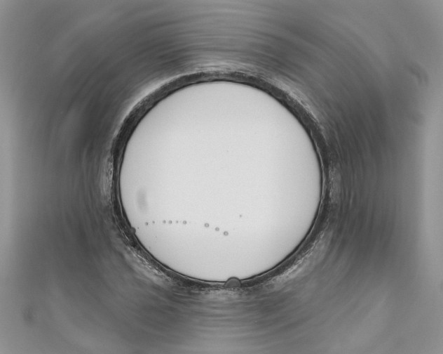 X0000110901021200907091411