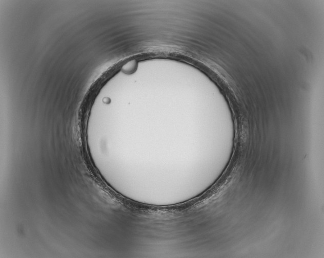 X0000110901022200907091411