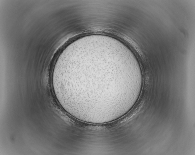 X0000110901023200907091411