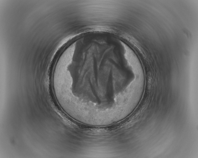 X0000110901024200907091411