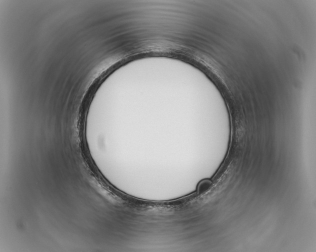 X0000110901026200907091411