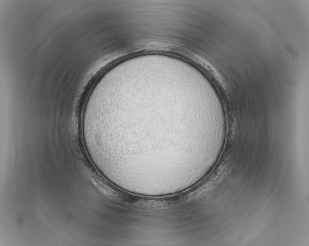 X0000110901027200907091411