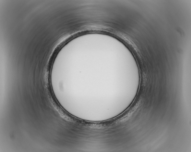 X0000110901029200907091411