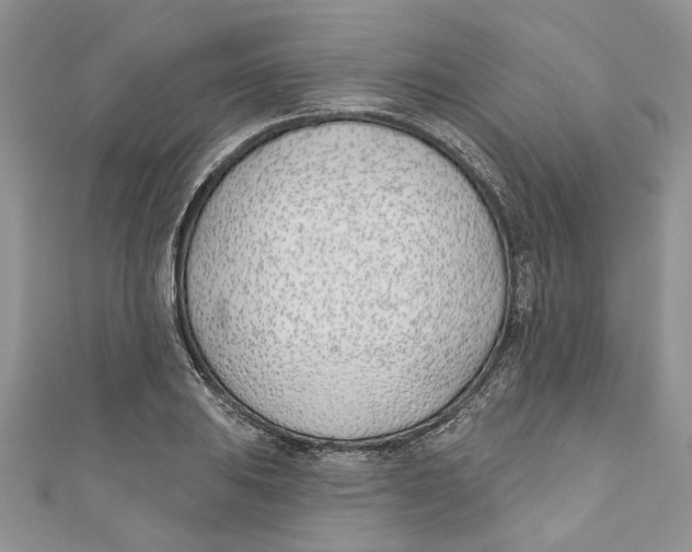 X0000110901031200907091411