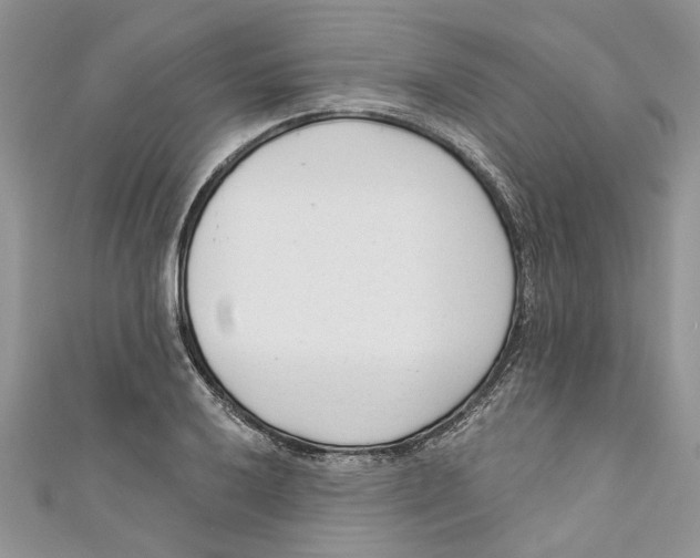 X0000110901032200907091411