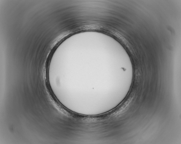 X0000110901034200907091411