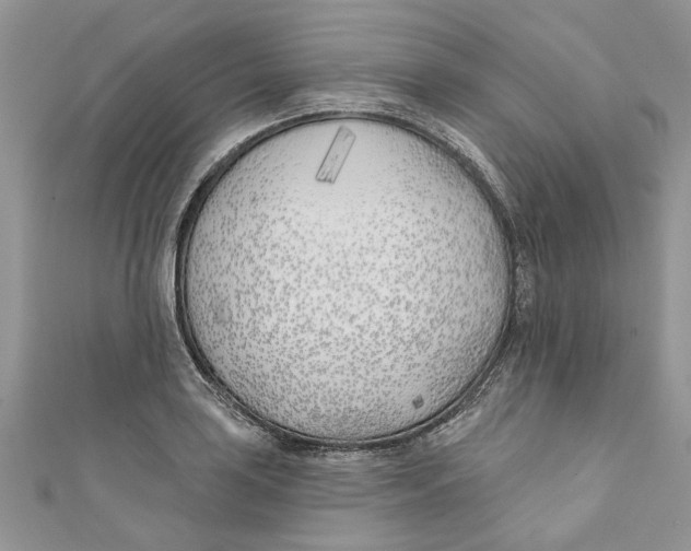 X0000110901035200907091411