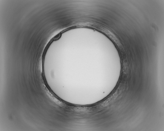 X0000110901036200907091411