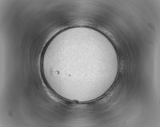 X0000110901039200907091411