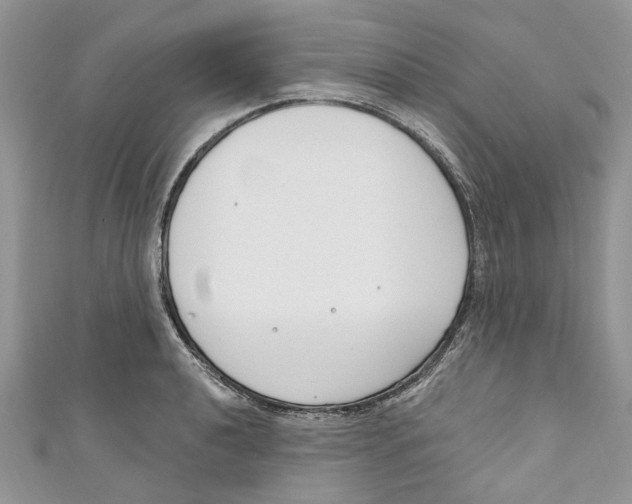 X0000110901040200907091411