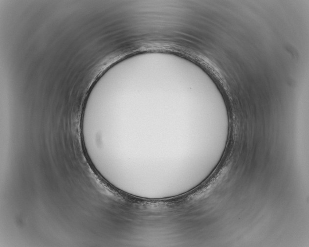 X0000110901041200907091411