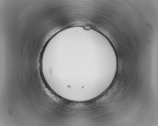 X0000110901042200907091411