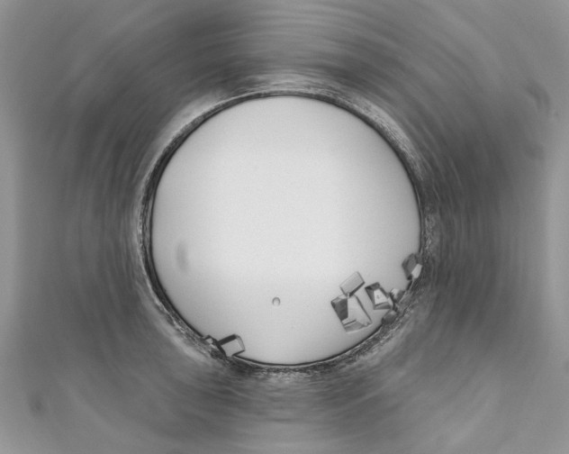 X0000110901043200907091411