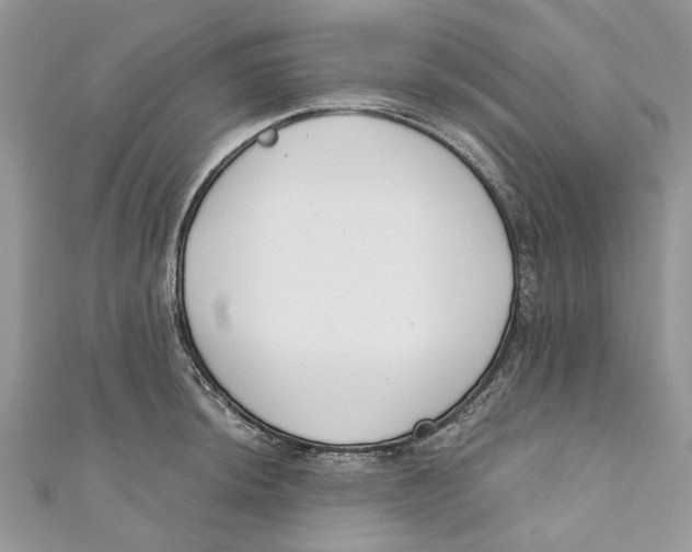 X0000110901044200907091411