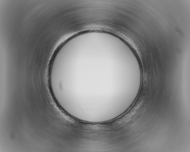 X0000110901045200907091411