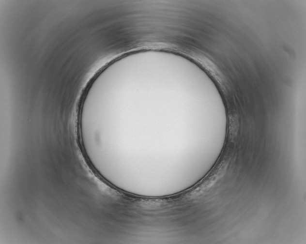 X0000110901046200907091411