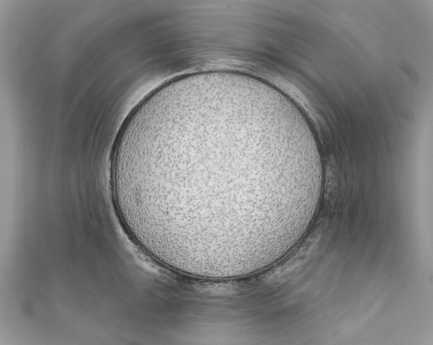 X0000110901047200907091411