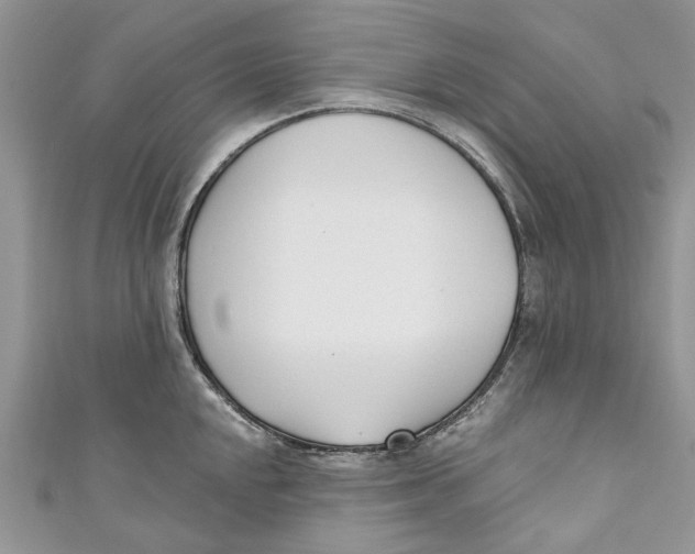 X0000110901048200907091411