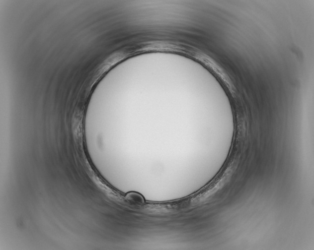 X0000110901049200907091411