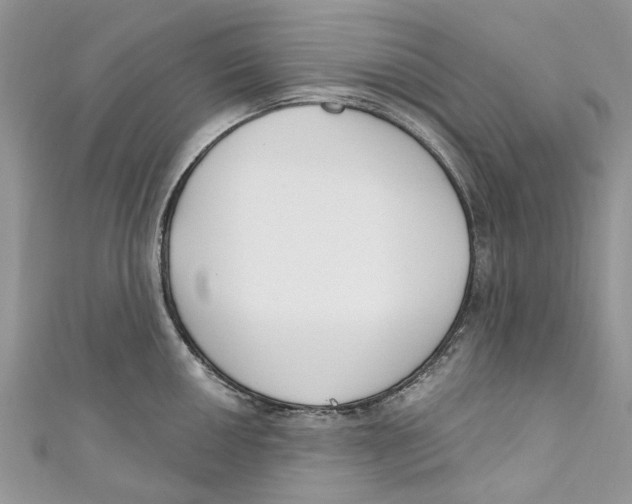 X0000110901050200907091411