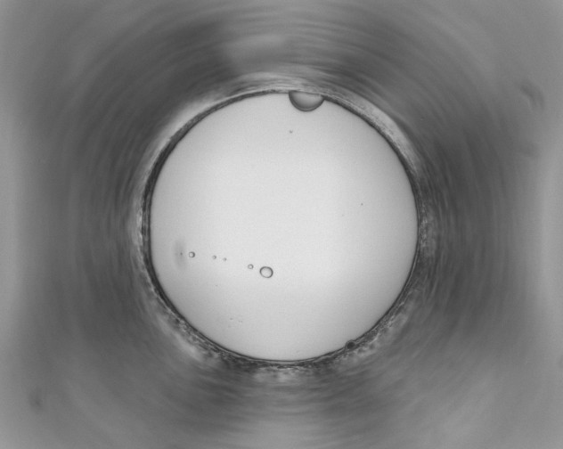 X0000110901051200907091411