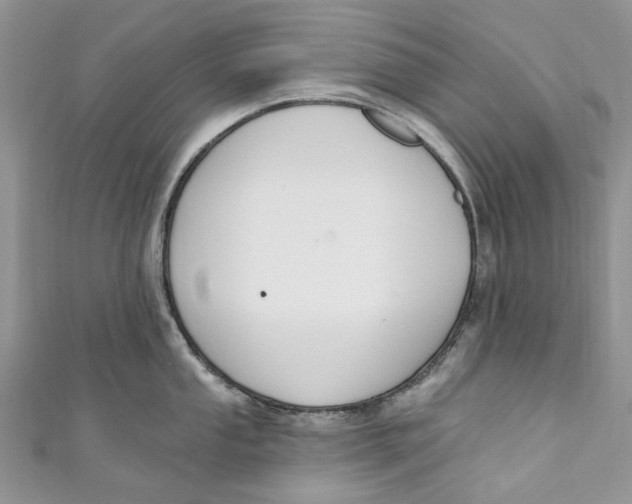 X0000110901053200907091411