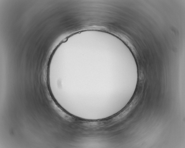 X0000110901054200907091411