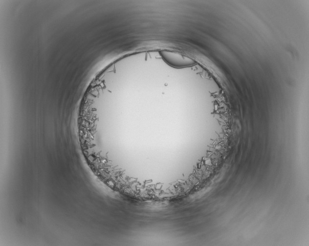 X0000110901055200907091411