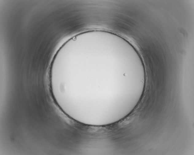 X0000110901056200907091411