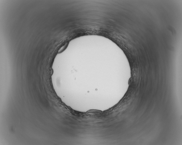 X0000110901057200907091411