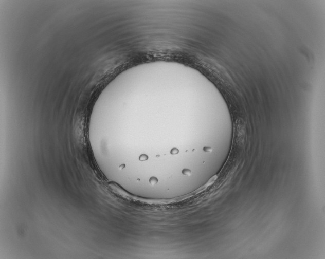 X0000110901060200907091411