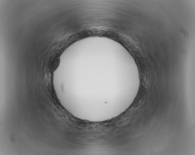 X0000110901061200907091411