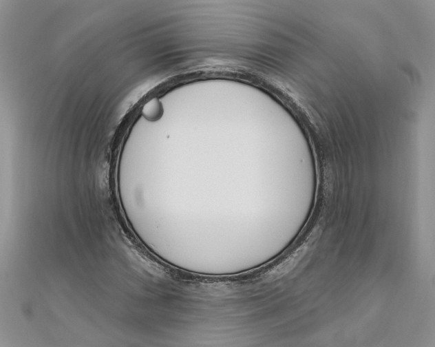 X0000110901066200907091411