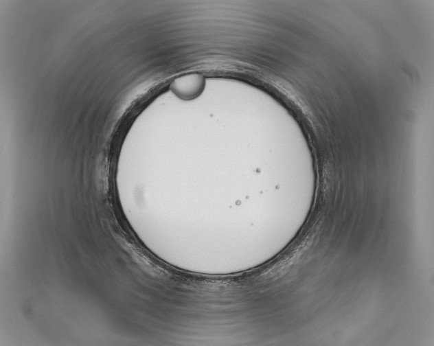 X0000110901067200907091411